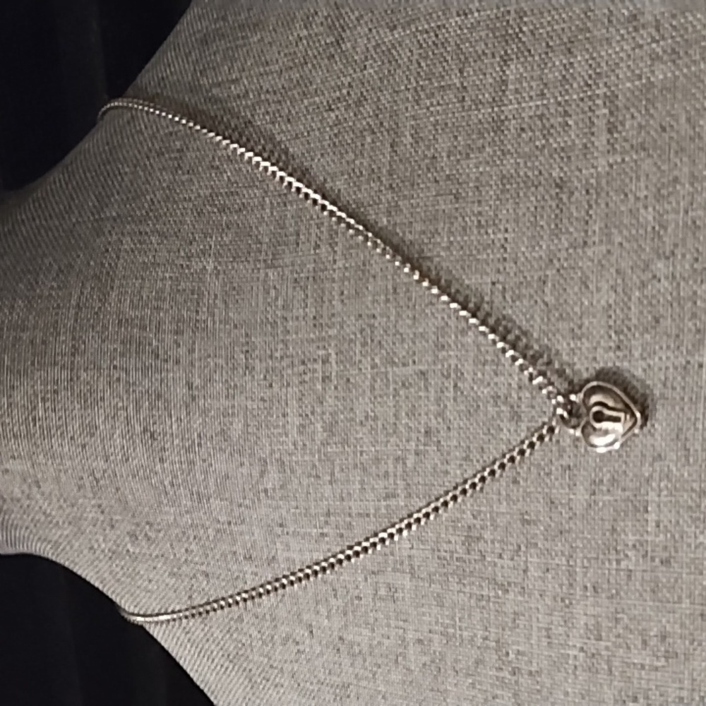 NWOT Silver tone chain and charm